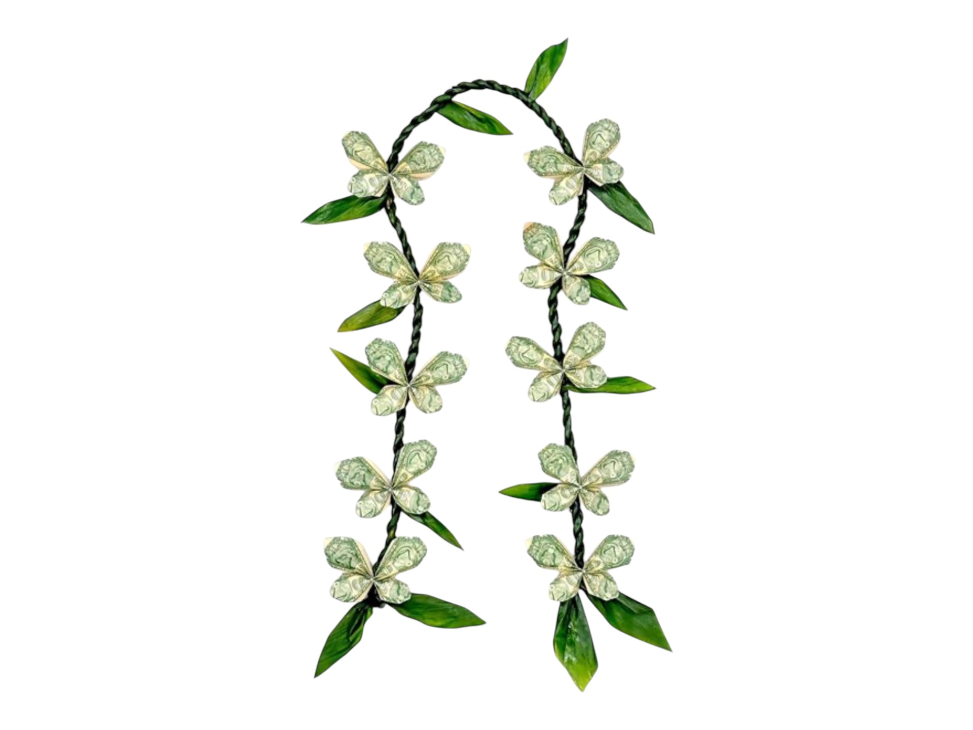 tea leaves for money plant Ti Leaf Money Leis (Blessings & Prosperity) – Coco Eve Creative